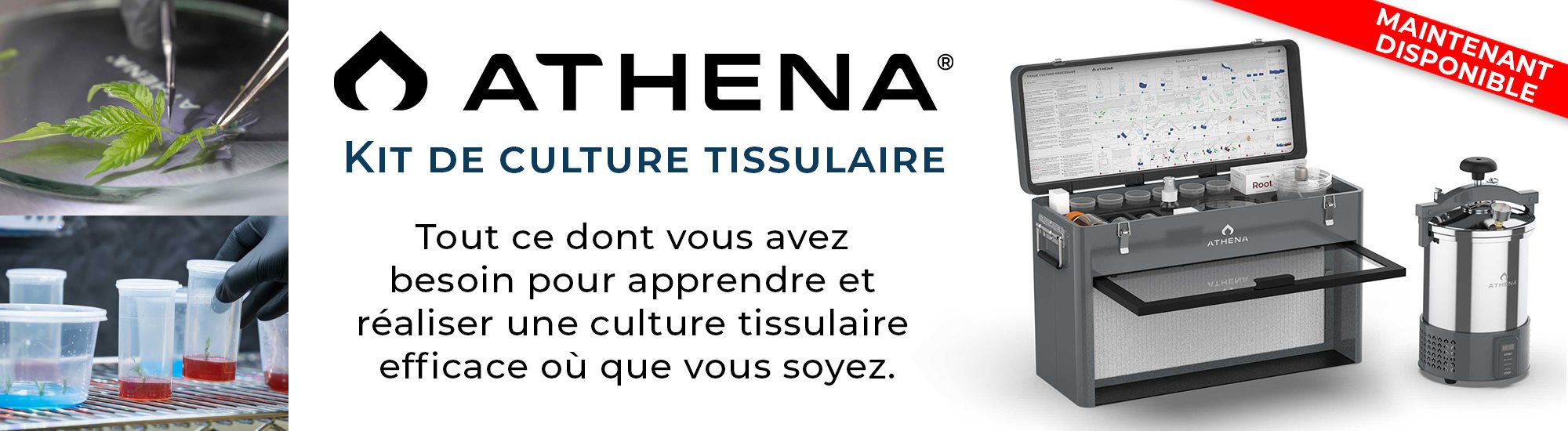 ATHENA TISSUE CULTURE - banner_fr